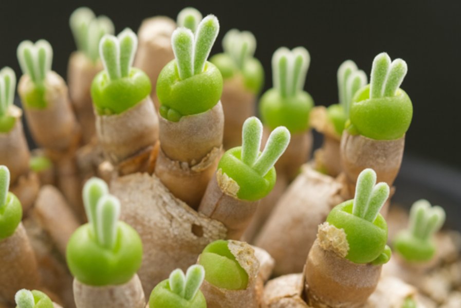 Screenshot 2025-12-11 110208.png